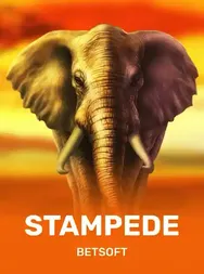 Stampede